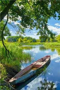 十六岁的情书有罪免费阅读最新章节列表（十六岁的情书有罪）_十六岁的情书有罪(十六岁的情书有罪)全文免费阅读无弹窗大结局_一到十七岁的情书