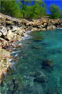 （李宗恪周媚鱼）李宗恪周媚鱼最新章节列表（李宗恪周媚鱼）_李宗恪周媚鱼（李宗恪周媚鱼）全文免费阅读无弹窗大结局