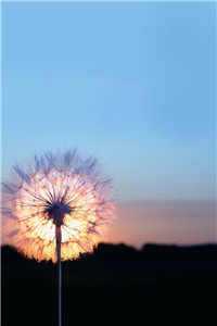 这个系统够慈善,我花1块它返利百亿小说全文免费阅读无弹窗大结局（这个系统够慈善,我花1块它返利百亿）（这个系统够慈善,我花1块它返利百亿小说）这个系统够慈善,我花1块它返利百亿小说免费阅读无弹窗最新章节列表（这个系统够慈善,我花1块它返利百亿）