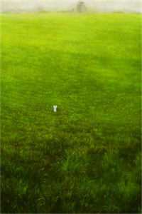 溺爱中逃生丫丫阿姆全文免费阅读最新章节列表（溺爱中逃生丫丫阿姆）_溺爱中逃生丫丫阿姆(溺爱中逃生丫丫阿姆)全文免费阅读无弹窗大结局_溺爱中逃生丫丫阿姆在线阅读全文