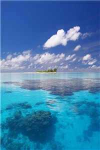 方宴良苏枝（方宴良苏枝）全文免费阅读无弹窗大结局_方宴良 苏枝是什么小说_(方宴良苏枝小说免费阅读)最新章节列表（方宴良苏枝）