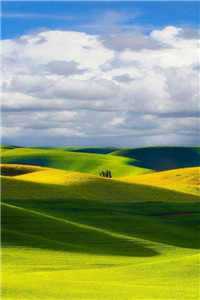 时光灯火小说全文免费阅读最新章节列表（时光灯火小说）_时光灯火小说(时光灯火小说)全文免费阅读无弹窗大结局_时光灯火小说在线阅读全文