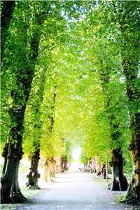 冉冉宋时砚周月月免费阅读最新章节列表（冉冉宋时砚周月月）_冉冉宋时砚周月月(等等月光冉冉宋时砚周月月)全文免费阅读无弹窗大结局_等待月光什么意思