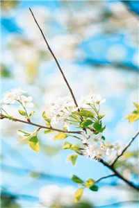 (江离唐逸辰小说免费阅读)江离唐逸辰小说最新章节列表（江离唐逸辰小说）_江离唐逸辰小说全文免费阅读（江离唐逸辰小说）无弹窗大结局_江离秦璟年