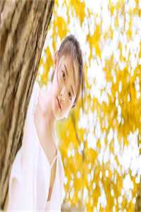 我的男友团（苏禾秦泽江斐顾长安免费阅读）最新章节列表（我的男友团）_我的男友团（苏禾秦泽江斐顾长安）全文免费阅读无弹窗大结局_我的男友团雨橙