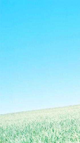 (宁琪陆昂芝芝知乎免费阅读全文大结局)最新章节列表（宁琪陆昂芝芝）_ 宁琪陆昂芝芝知乎(宁琪陆昂芝芝)全文免费阅读无弹窗大结局