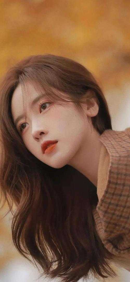 （夏枝沈越全文免费阅读）夏枝沈越免费阅读最新章节小说（夏枝沈越）_夏枝沈越小说全文免费阅读无弹窗大结局_沈夏歌叶南弦