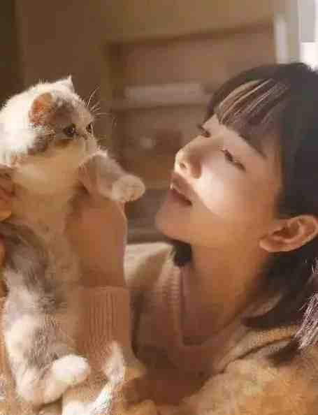 楚莘墨鸿祯小说（楚莘墨鸿祯）全文免费阅读_（楚莘墨鸿祯）楚莘墨鸿祯免费阅读无弹窗（楚莘墨鸿祯）_楚莘墨鸿祯小说笔趣阁