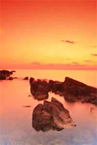 被追杀的我被推上皇位了（夏天司马兰）全文免费阅读无弹窗大结局_（被追杀的我被推上皇位了全文免费阅读无弹窗）夏天司马兰最新章节列表（夏天司马兰）_被追杀的我被推上皇位了免费阅读