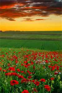 旅行系列小说_ (许晴郑琳免费阅读)旅行套餐最新章节列表（许晴郑琳）_许晴郑琳(旅行套餐)全文免费阅读无弹窗大结局