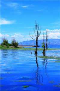  (偏执宠我)杨崭秋周元安最新章节列表（杨崭秋周元安）_偏执宠我（杨崭秋周元安）全文免费阅读_偏执宠爱小说全文免费阅读无弹窗