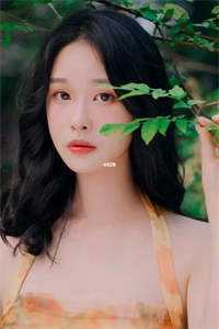 风月伤痕全文免费阅读无弹窗大结局 (陆有枫小说免费阅读)路风月伤痕小说免费阅读无弹窗最新章节列表（风月伤痕）