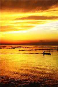 夏尔尔陆川(夏尔尔陆川)全文免费在线阅读_夏尔尔陆川(夏尔尔陆川)全文免费阅读无弹窗_尔夏的结局