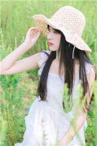 叶倾怀陆宴尘锦衣卫全文免费阅读无弹窗大结局(叶倾怀陆宴尘锦衣卫)最新章节列表（叶倾怀陆宴尘锦衣卫）