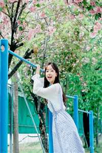 (破伞遮雨破伞遮雨小说免费阅读)司年林婳乔心免费阅读无弹窗最新章节列表（破伞遮雨）_破伞遮雨(司年林婳乔心)全文免费阅读无弹窗大结局_他的伞小说