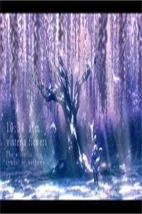 陆先生后悔已晚(叶心音陆景霄)全文免费阅读无弹窗大结局_ (陆先生后悔已晚小说免费阅读)最新章节列表（叶心音陆景霄）