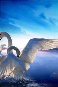 折磨的思念（司年林水婳）小说全文免费阅读无弹窗大结局_（司年林水婳）折磨的思念小说全文免费阅读最新章节列表（司年林水婳）_折磨 意思