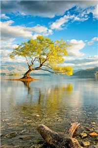 鹿城陈冉知乎免费阅读无弹窗(鹿城陈冉知乎)最新章节列表（鹿城陈冉知乎）_鹿城陈冉免费阅读_鹿城陈冉知乎（鹿城陈冉知乎）全文免费阅读无弹窗大结局