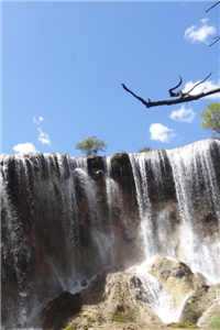 玫瑰卧底免费阅读_玫瑰卧底(玫瑰卧底)全文免费阅读无弹窗大结局_玫瑰卧底全文免费阅读最新章节列表（玫瑰卧底）