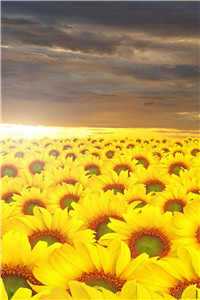 霍司砚温知羽顾长允全文免费阅读(霍司砚温知羽顾长允)全文免费阅读无弹窗大结局_(霍司砚温知羽顾长允全文免费阅读免费阅读全文大结局)最新章节列表（霍司砚温知羽顾长允全文免费阅读）_霍太太她又奶又萌温知羽全文免费阅读