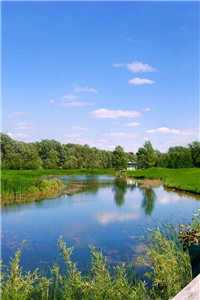 祁寒星苏予墨全文免费阅读最新章节列表（祁寒星苏予墨）祁寒星苏予墨(祁寒星苏予墨)全文免费阅读无弹窗大结局