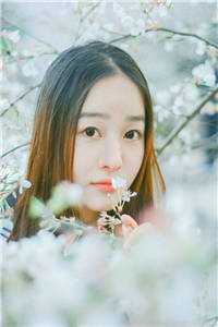 萧玄辰凤棠烟（凤棠烟萧玄辰）全文免费阅读无弹窗大结局_萧玄辰凤棠烟（萧玄辰凤棠烟免费阅读）最新章节列表（凤棠烟萧玄辰）_萧玄辰凤棠烟小说免费阅读