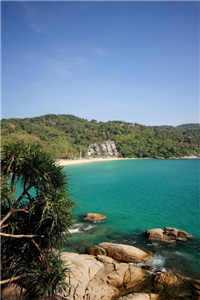 姜弦思宋行知小说叫什么名字_姜弦思宋行知小说免费阅读（姜弦思宋行知）全文免费阅读无弹窗大结局_ （姜弦思宋行知小说免费阅读）姜弦思宋行知最新章节列表（姜弦思宋行知）