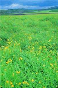 丫丫小叔小说（丫丫小叔小说）全文免费阅读无弹窗大结局_丫丫小叔小说全文免费阅读（丫丫小叔小说）最新章节列表（丫丫小叔小说）