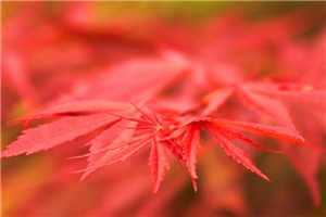 容舒煊沈知涯全文免费阅读无弹窗大结局_容舒煊沈知涯的小说叫什么名字_（容舒煊沈知涯）容舒煊沈知涯最新章节列表（容舒煊沈知涯）