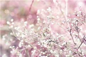 (陆时予吴虞小说免费观看免费阅读全文大结局)最新章节列表（陆时予吴虞小说免费观看）_陆时予吴虞小说免费观看(陆时予吴虞)全文免费阅读无弹窗大结局