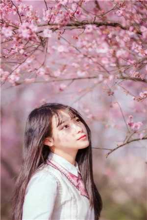 日记后遗症小说全文免费阅读_日记后遗症小说阅读_宋随岑念苏唐（日记后遗症小说）最新章节列表（日记后遗症小说）