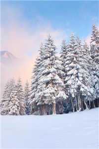 霍太太又奶又萌最新章节列表（温知羽霍司砚）_霍太太又奶又萌全文免费阅读（温知羽霍司砚小说）无弹窗大结局_霍太太又奶又萌小说免费观看