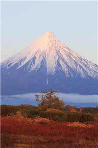 九州天王叶凌天周雪青小说全文免费阅读（叶凌天周雪青）_九州天王小说全文免费阅读（叶凌天周雪青）全文免费阅读无弹窗大结局