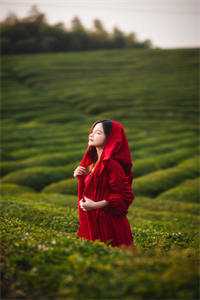 林舟林崇山最新章节列表（重生末日）林舟林崇山小说（重生末日）全文免费阅读无弹窗大结局