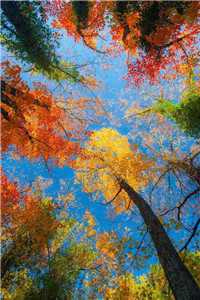 国家之下百度网盘_国家之下小说（国家之下小说）全文免费阅读无弹窗大结局_(陈伯彦江警官小说全文)国家之下小说最新章节列表（国家之下小说）