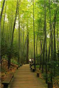 唐知夏九宸是什么小说_唐知夏唐凌雪九宸小说（唐知夏唐凌雪九宸小说）全文免费阅读无弹窗大结局_(唐知夏唐凌雪九宸小说小说免费阅读)最新章节列表（唐知夏唐凌雪九宸小说）