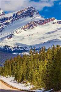 存思意难许衡莫陶(存思意难许衡莫陶)全文免费阅读无弹窗大结局存思意难许衡莫陶免费阅读最新章节列表（存思意难许衡莫陶）