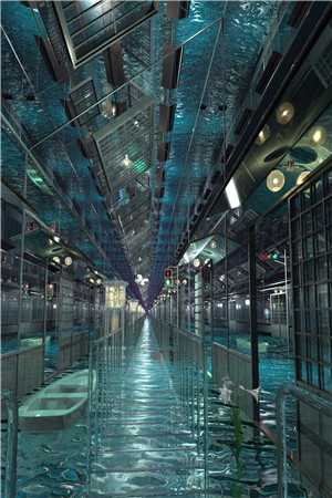 沈从安叶清清现代文（沈从安叶清清现代文）全文免费阅读无弹窗大结局_沈从安叶清清现代文最新章节列表（沈从安叶清清现代文）_沈从文的小说有哪些