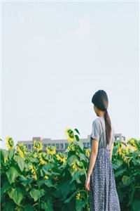 江晚恩商宗鹤目录_(江晚恩商宗鹤小说免费阅读)最新章节列表（江晚恩商宗鹤）_江晚恩商宗鹤(江晚恩商宗鹤)全文免费阅读无弹窗大结局