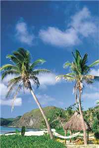 陆芷瑶江千燃（陆芷瑶江千燃）最新章节列表（陆芷瑶江千燃）陆芷瑶江千燃全文免费阅读无弹窗大结局