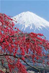 备用彩礼小说（林清俞李妍月）最新章节目录（林清俞李妍月）_备用彩礼小说（林清俞李妍月）小说全文免费_备用彩礼小说TXT