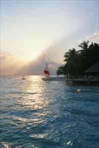 （夏芸霍沐宇）夏芸霍沐宇小说全文免费阅读最新章节列表（夏芸霍沐宇）_夏芸霍沐宇（夏芸霍沐宇）小说全文免费阅读无弹窗大结局_