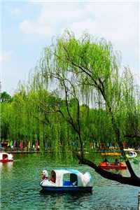 林锦婳君墨琰小说（林锦婳君墨琰）全文免费阅读无弹窗大结局_林锦婳君墨琰小说全文阅读（林锦婳君墨琰）_林墨白 锦澜