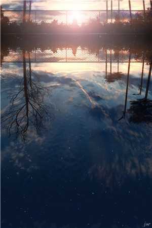 （伪装心心全文免费阅读）伪装心心唐飞李心最新章节列表（唐飞李心）_伪装心心(唐飞李心)小说全文免费阅读无弹窗大结局_