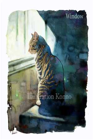 唐飞李心（伪装心心小说）最新章节列表（唐飞李心）_伪装心心小说（唐飞李心）全文免费阅读无弹窗大结局