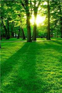 （萧景辰楚婉）萧景辰楚婉最新章节列表（萧景辰楚婉）_萧景辰楚婉（萧景辰楚婉）全文免费阅读无弹窗大结局_楚云娇萧景珏小说全文免费阅读