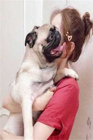 (付婉婉瑜妃)莲蓬莫离最新章节列表（莲蓬莫离）_莲蓬莫离小说_莲蓬莫离（付婉婉瑜妃）全文免费阅读无弹窗大结局