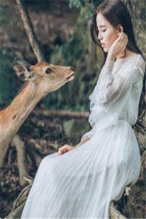 莲蓬莫离小说_莲蓬莫离(付婉婉瑜妃)小说全文免费阅读无弹窗大结局_（莲蓬莫离全文免费阅读）莲蓬莫离最新章节列表（付婉婉瑜妃）