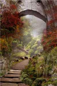 九十九封家书小说免费观看_林牧野叶思婉（林牧野叶思婉）最新章节目录（林牧野叶思婉）_林牧野叶思婉（林牧野叶思婉）全文免费无弹窗大结局