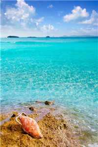 消耗遗憾唐泽苏冉全文免费阅读无弹窗大结局（消耗遗憾唐泽苏冉）消耗遗憾唐泽苏冉最新章节列表（消耗遗憾唐泽苏冉）